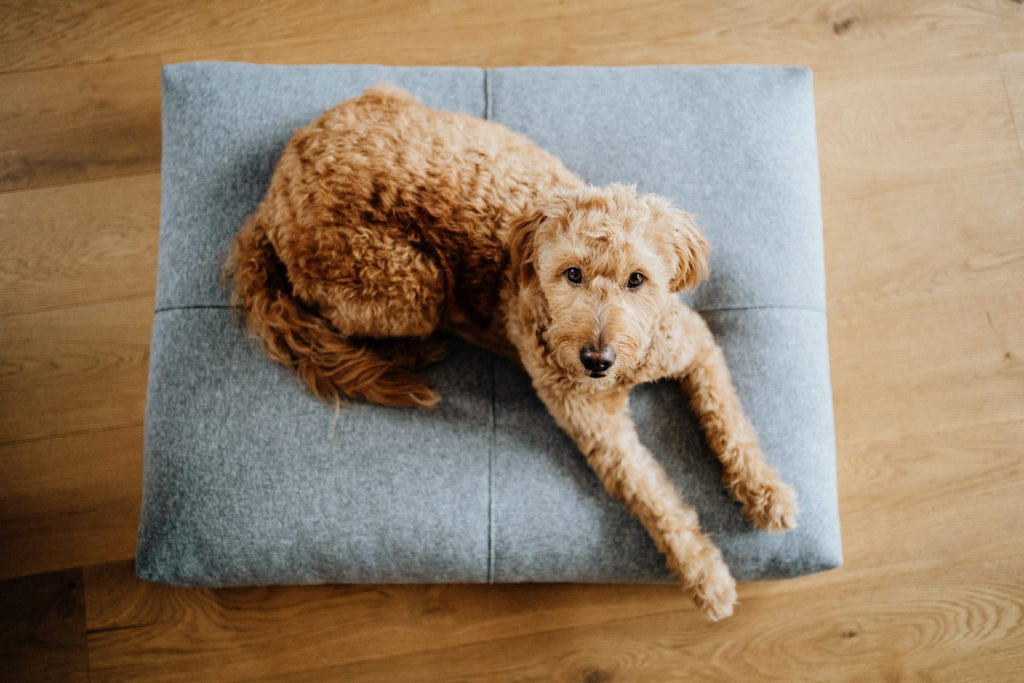 Finno Cushion - Anthracite 