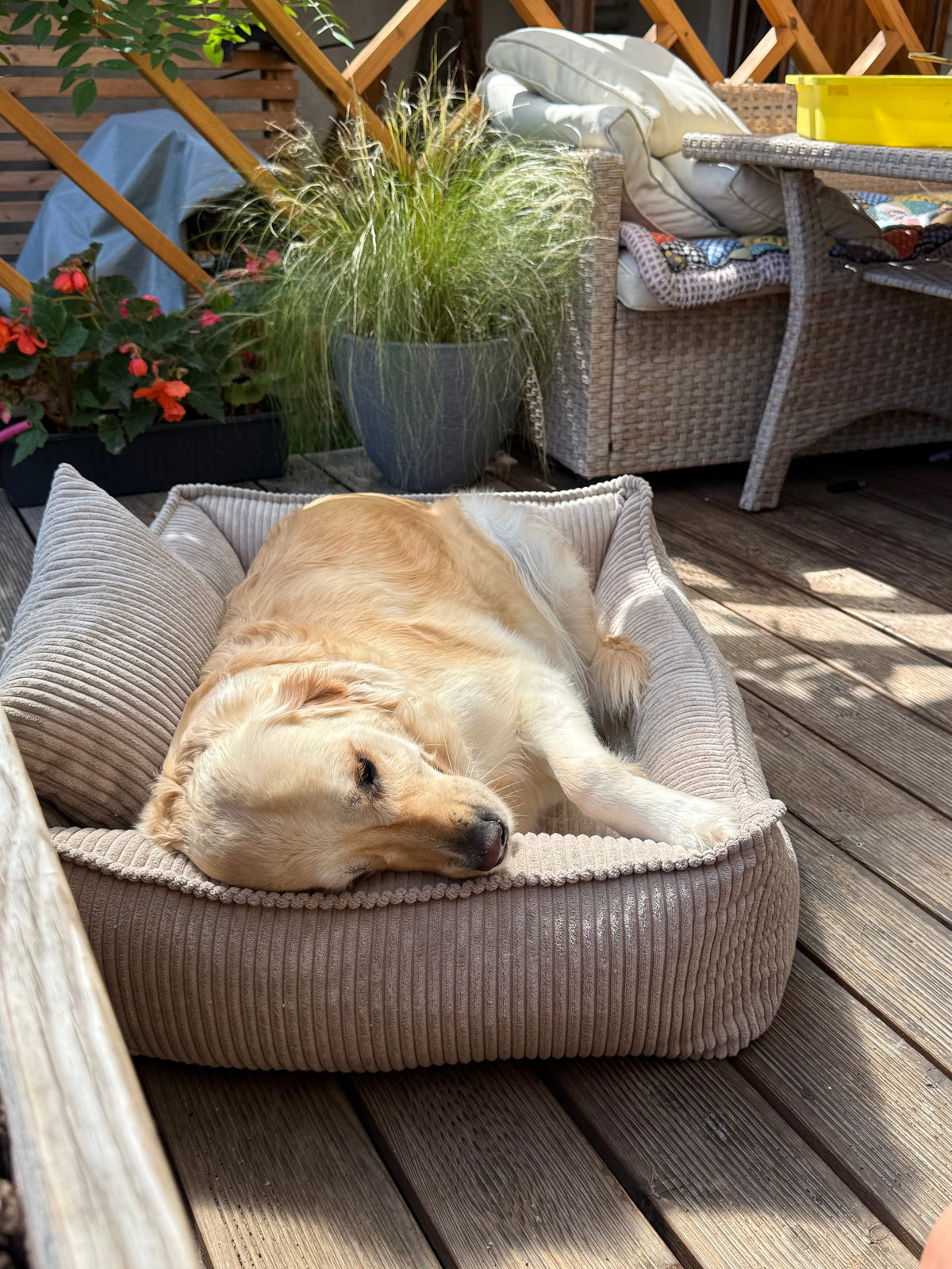 Lodie Corduroy Dog Sofa with Removable Cover – Hazelnut Taupe, M