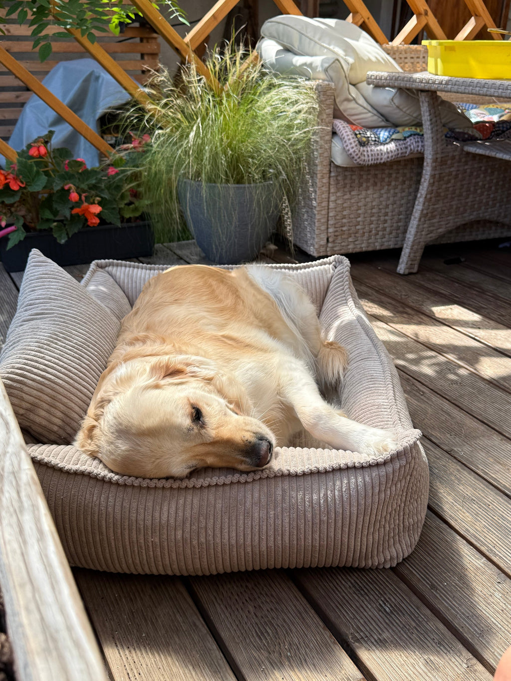 Lodie Corduroy Memory Foam Dog Sofa – Beige, L