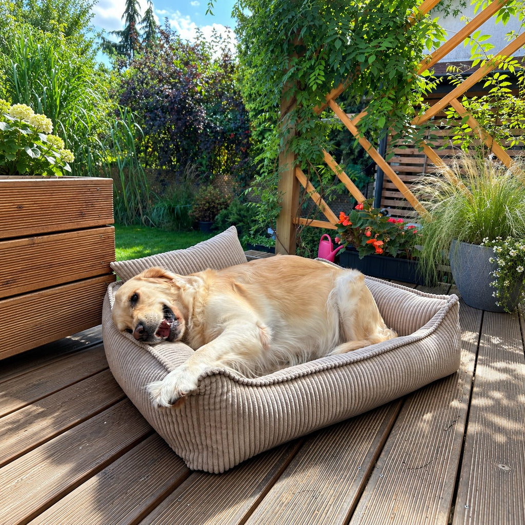 Nino Corduroy Dog Basket Bed with Removable Cover – Cloud Grey, XS