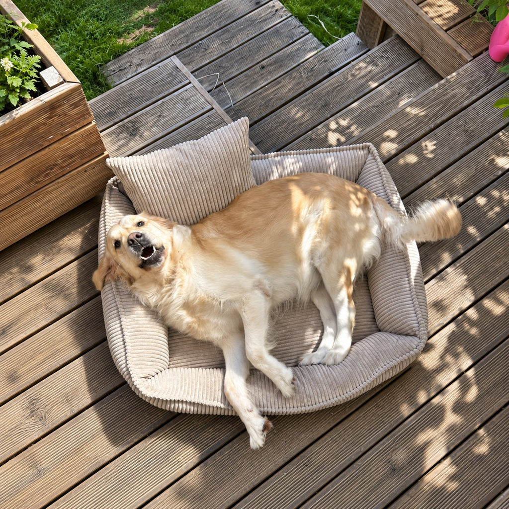 Nino Corduroy Memory Foam Dog Basket Bed – Cloud Grey, XS