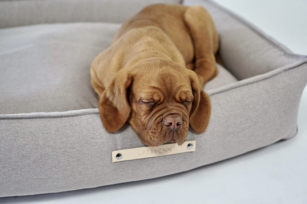 Töve Dog Bed - Nut 